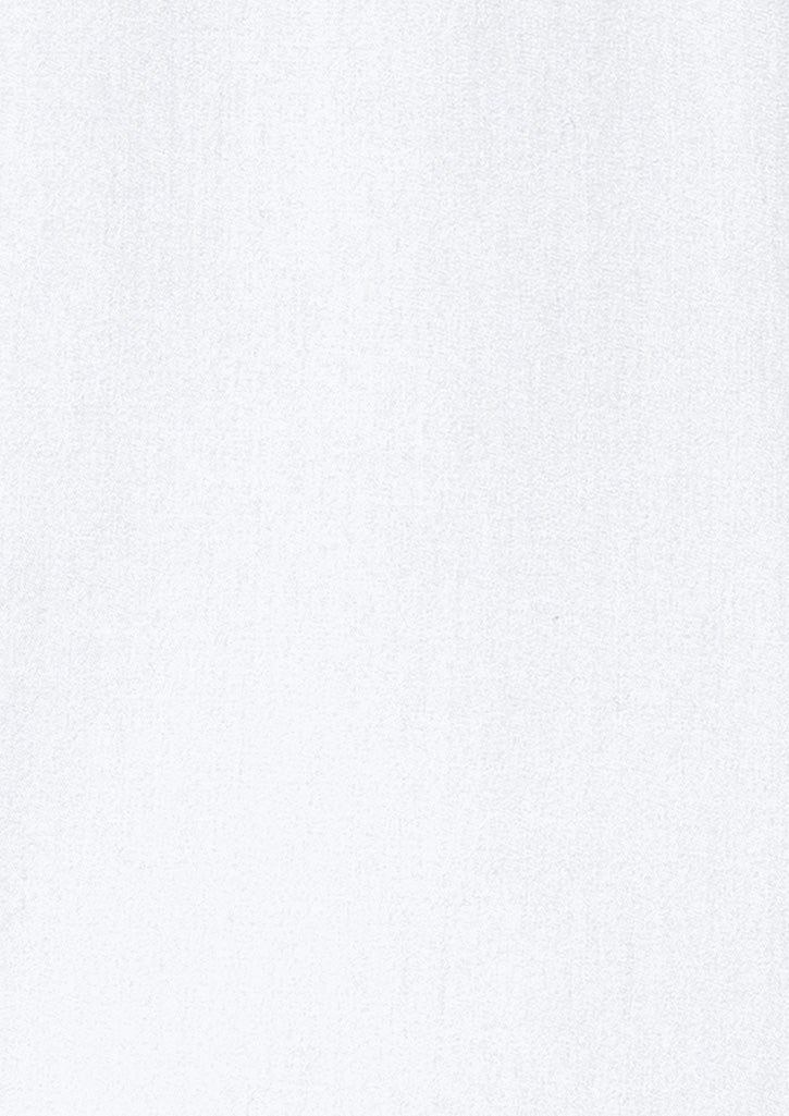 BIZ COLLECTION Mens Dalton Long Sleeve Shirt S522ML